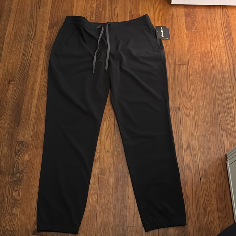 NWT Eddie Bauer Large Women’s Radius Pant Jogger Carbon